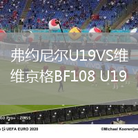 弗約尼爾U19VS維京格BF108 U19