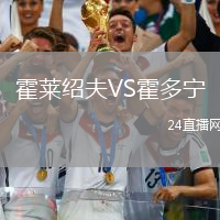 霍萊紹夫VS霍多寧