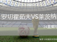 羅切霍茹夫VS萊茨納