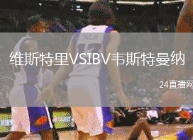 維斯特里VSIBV韋斯特曼納