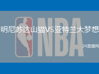 明尼蘇達山貓VS亞特蘭大夢想