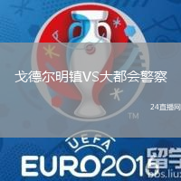戈德爾明鎮VS大都會警察