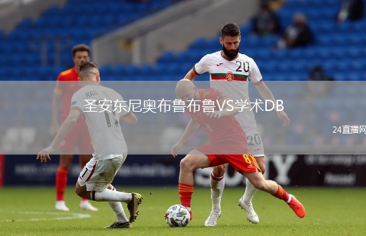 圣安東尼奧布魯布魯VS學術DB