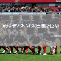 戴維卡VSNMSK巴迪斯拉華