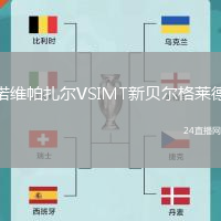 諾維帕扎爾VSIMT新貝爾格萊德