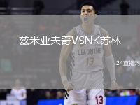 茲米亞夫奇VSNK蘇林