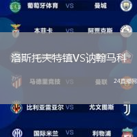 洛斯托夫特鎮(zhèn)VS訥翰馬科