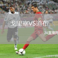 戈里察VS道布